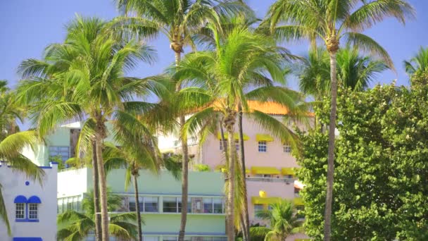 Palms Miami Beach Hotell Scen Hdr — Stockvideo