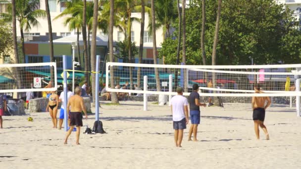 Miami Usa Febrero 2024 Hdr Video Men Playing Volleyball Miami — Vídeo de stock