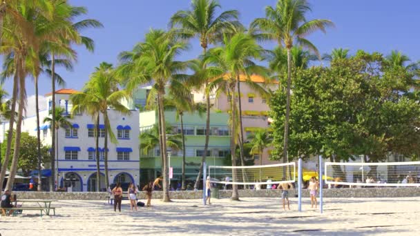 Miami Usa Februari 2024 Vänner Som Spelar Volleyboll Miami Beach — Stockvideo