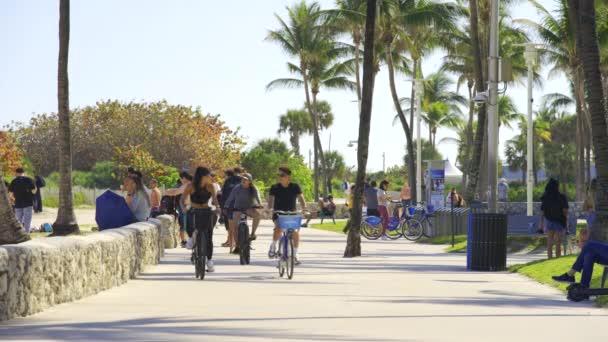 Miami Usa 2024 Február Turisták Ocean Drive Hdr 2024 — Stock videók