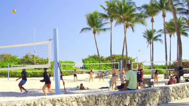 Miami Usa Februar 2024 Miami Hdr Leute Spielen Volleyball Strand — Stockvideo
