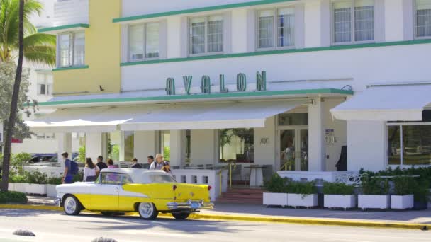 Miami Usa Února 2024 Avalon Hotel Miami Beach Ocean Drive — Stock video