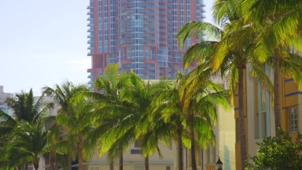 Hdr Miami Plajı Nda Palmiyeler Deco Oteller Var — Stok video