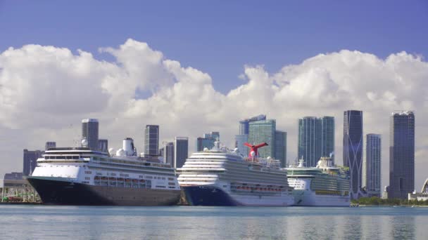 Miami Usa Února 2024 Hdr Video Výletní Lodě Port Miami — Stock video