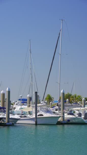 美国佛罗里达州迈阿密 2024年2月26日 8K垂直视频帆船在关键比斯开恩迈阿密 — 图库视频影像