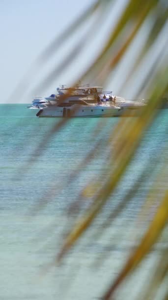 Miami Usa Február 2024 Vertikális Videó Emberek Iszogatnak Egy Jachton — Stock videók