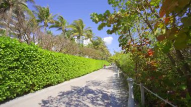 Miami Beach, FL, ABD - 28 Şubat 2024: Miami Beach Boardwalk şu anda Atlantik Greenway 4k HDR 'nin klibiydi.