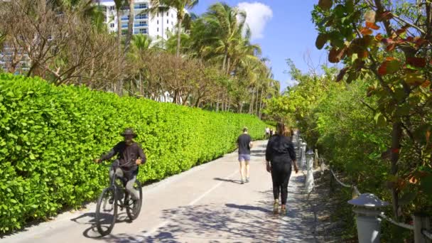 Miami Beach Usa Februari 2024 Gångväg Vid Stranden Miami Scen — Stockvideo
