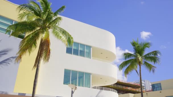 Miami Hdr Stock Video Byggnader Och Palmer — Stockvideo