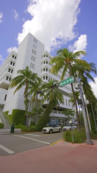 Miami Beach Usa Februari 2024 Lincoln Road Miami Beach Destination — Stockvideo