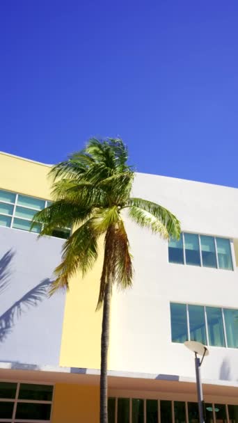Hdr Miami Scen Med Deco Byggnad Och Palm Blå Himmel — Stockvideo