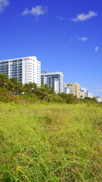 Hdr Stockfilm Miami Beach Byggnader Vid Sanddynerna — Stockvideo