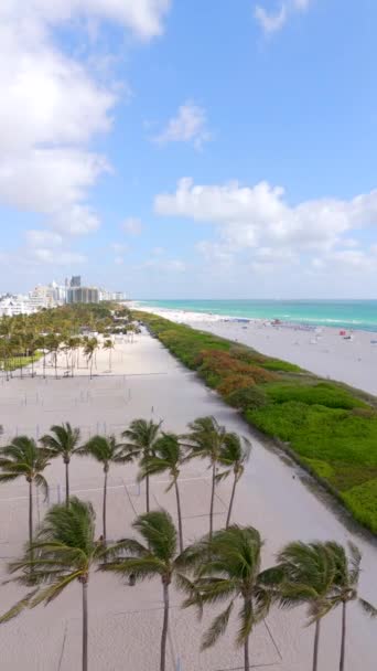 Miami Beach Eua Março 2024 Vídeo Vertical Aéreo Loomis Park — Vídeo de Stock