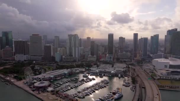 Flygvideostormar Över Miami — Stockvideo