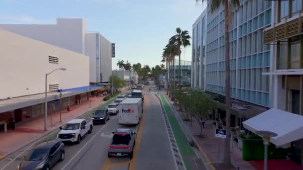 Miami Beach Amerika Serikat Maret 2024 Lincoln Road Miami Beach — Stok Video