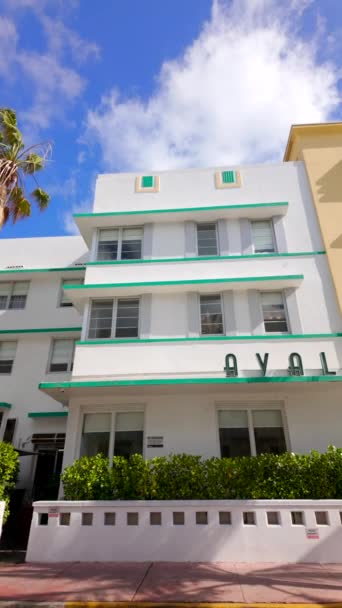 Miami Beach Abd Mart 2024 Avalon Hotel Miami Beach Dikey — Stok video