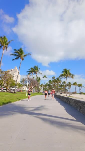 Miami Beach Marzo 2024 Caminata Cámara Lenta Miami Beach Ocean — Vídeo de stock
