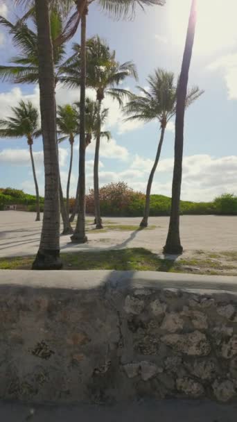 Miami Beach Palmen Und Korallenmauer Auf Ocean Drive Vertikales Zeitlupenvideo — Stockvideo