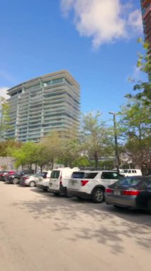 Miami Beach, FL, ABD - 15 Mart 2024: South Pointe Park Miami Plajı 4K dikey park alanı videosu