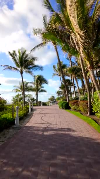 大西洋路迈阿密海滩通道4K垂直鱼群视频 — 图库视频影像