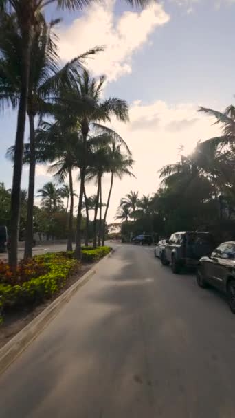 Miami Beach Usa März 2024 Vertikales Video South Pointe Beach — Stockvideo