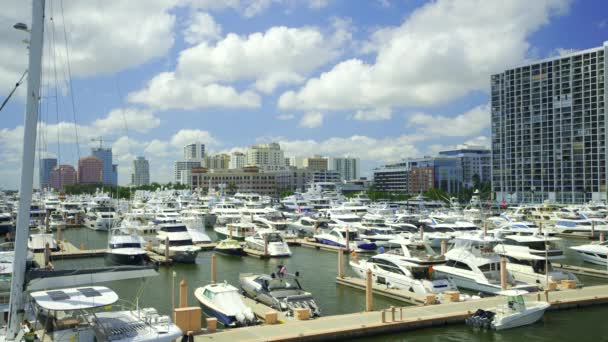 West Palm Beach Eua Março 2024 2024 Palm Beach International — Vídeo de Stock