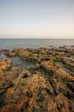 Rocky, Florida Keys 'in hisse senedi fotoğraf baskısını kıyıya vurdu