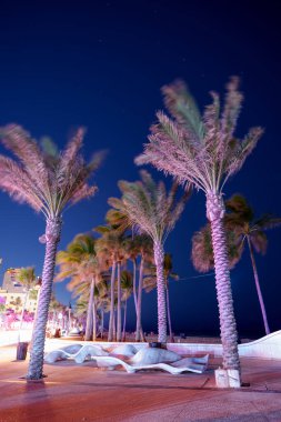 Fort Lauderdale Sahili uzun pozlu gece fotoğrafı