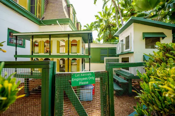 Katzenzwinger Hemingway Home Key West Florida — Stockfoto