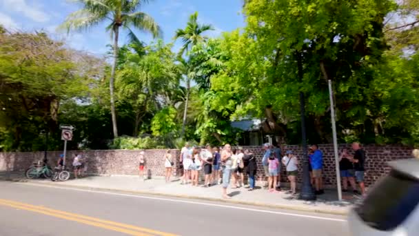 Key West Eua Maio 2024 Panning Clipe Turistas Alinham Hemingway — Vídeo de Stock
