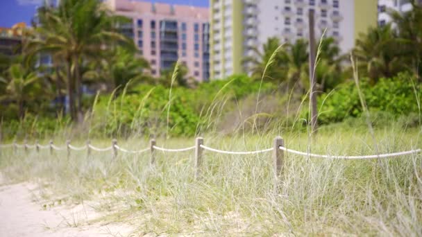 Beach Sanddyner Med Färgglada Byggnader Bakgrunden Miami Hdr Video — Stockvideo