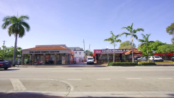 美国佛罗里达州迈阿密 2024年4月15日 Calle Ocho Miami 2024的股票视频商店 — 图库视频影像