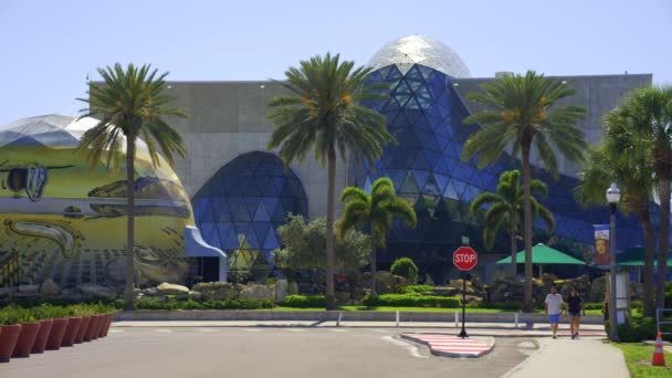 2024年4月6日 美国佛罗里达州圣彼得堡 萨尔瓦多大理博物馆2024年 — 图库视频影像