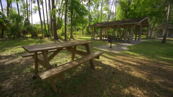 公园里的野餐桌4K人类发展报告自然镜头 免版税图库视频