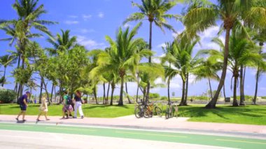 Miami Beach FL USA - 22 Nisan 2024: Lummus Park Miami Beach HDR stok videosu 2024