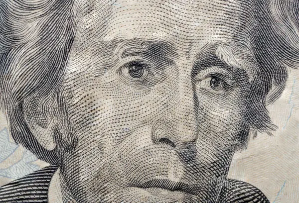 Moneda Dinero Veinte Dólares Bill Andrew Jackson Macro Imagen Pila Fotos de stock libres de derechos