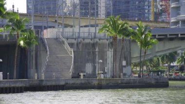Miami Nehri sahnesi su köprüsü palmiyeleri 2024