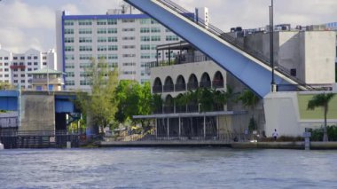 Köprü Miami Nehri 'ne iniyor. 4k 30 peni.