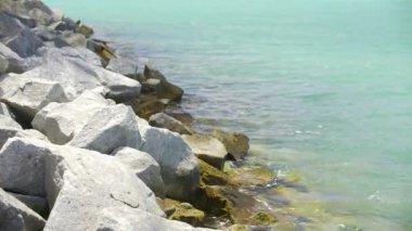 Miami kıyısındaki kayalar 4K 60p hisse senedi.
