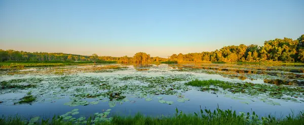 stock image Wide angle stock photo nature scene. Nature setting at sunset. Florida tallahassee USA