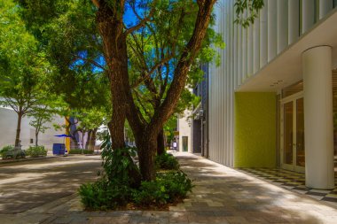 Miami Tasarım Bölgesi 2024. Bulanık insanlara uzun pozlu fotoğraf. Tüm logolar kaldırıldı