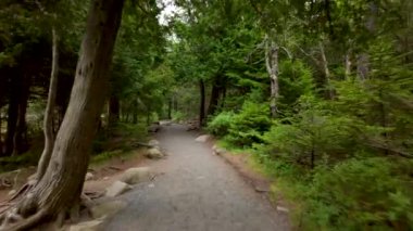 Yol yürüyüşü. Acadia Ulusal Parkı. Maine, ABD 'de yaz tatilleri