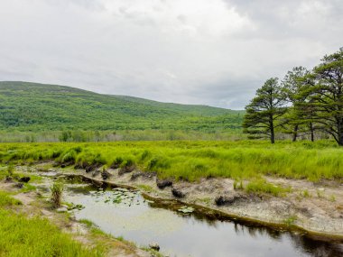 Acadia Ulusal Parkı Maine, ABD. Doğa fotoğrafı 2024