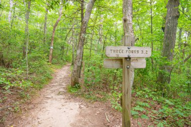 Theee Forks, Appalachian Trail Georgia 'da imza attı.