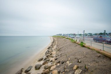 Marthas Vineyard 'ın stok fotoğrafı. Oak Bluffs Sahili 2024