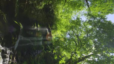 HDR Vertical video Catawba Falls Old Fort, Kuzey Carolina, ABD