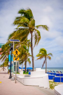 Fort Lauderdale Florida popüler bir Güney Florida tatil beldesidir.