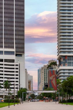 Bayfront Park Miami 'den Flagler Caddesi manzarası