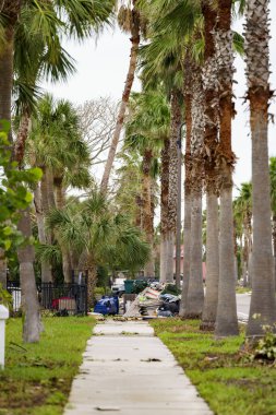 Milton Kasırgası St. Petersburg Plajı 'nı kasıp kavurduktan sonra ev sahipleri hasarlı mobilya yığınlarını sokağa bırakıyor.