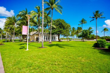 Lummus Park Miami Plajı Okyanus Yolu 2024